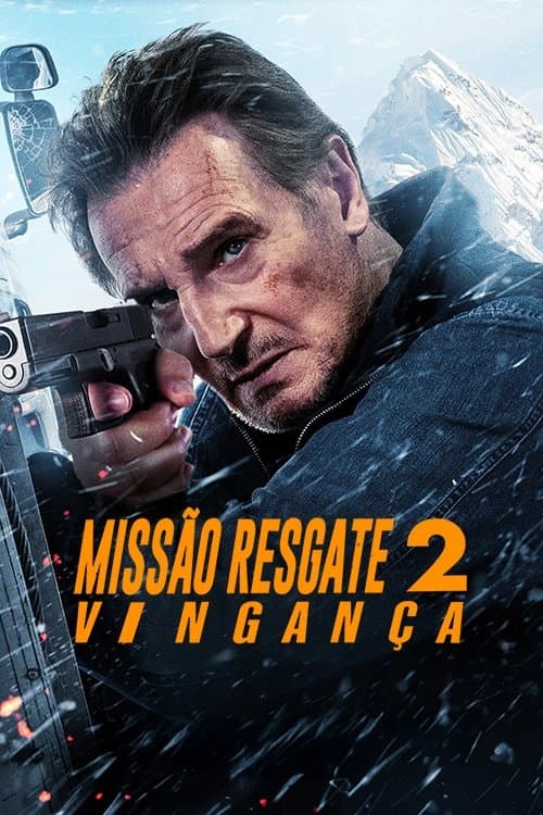 Poster do filme: Missão Resgate 2: Vingança