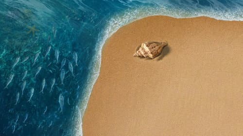 Backdrop do filme: Moana