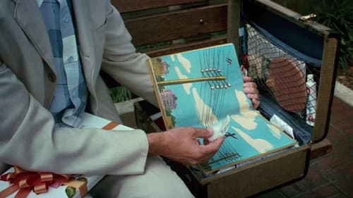 Backdrop do filme: Forrest Gump: O Contador de Histórias