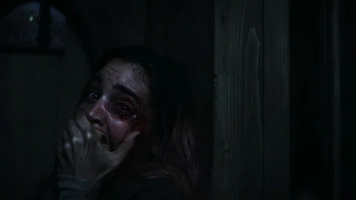 Backdrop do filme: A Morte do Demônio: Em Chamas