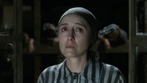 Backdrop do filme: A Vida é Bela