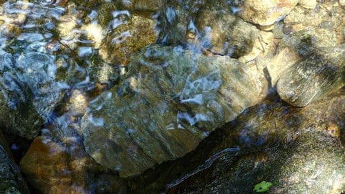 Backdrop do filme: Parasita