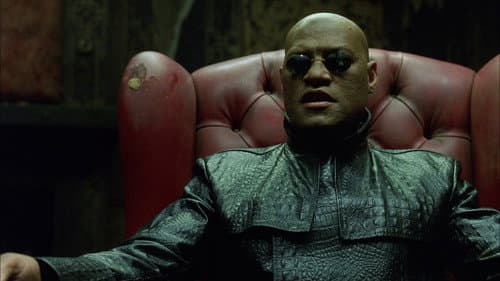 Backdrop do filme: Matrix