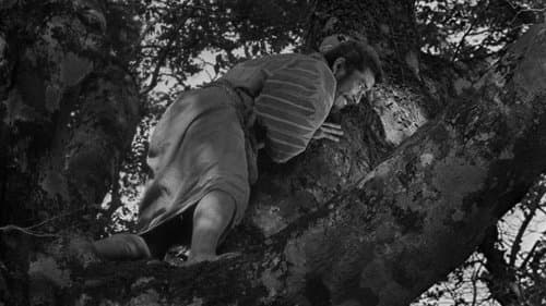 Backdrop do filme: Os Sete Samurais