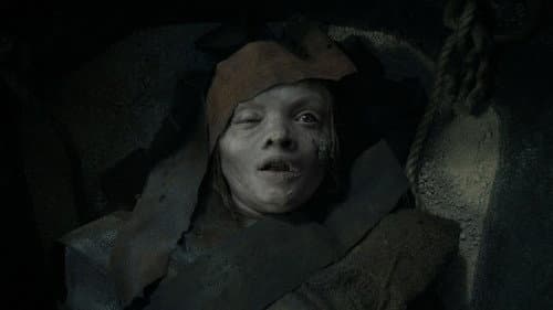 Backdrop do filme: Maldição da Múmia