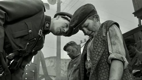 Backdrop do filme: A Lista de Schindler