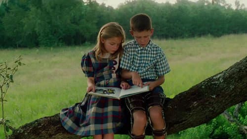 Backdrop do filme: Forrest Gump: O Contador de Histórias