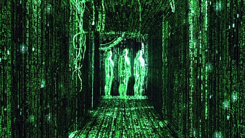 Backdrop do filme: Matrix