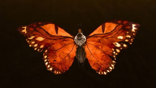 Backdrop do filme: Cara de Um, Focinho de Outro