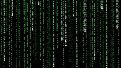Backdrop do filme: Matrix