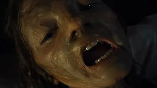 Backdrop do filme: Maldição da Múmia