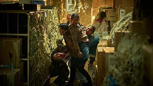 Backdrop do filme: Zona Zero