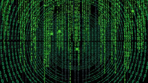 Backdrop do filme: Matrix