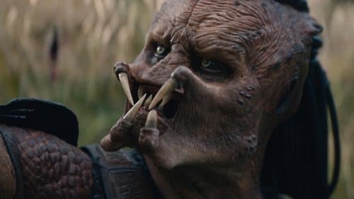 Backdrop do filme: Predador: Terras Selvagens