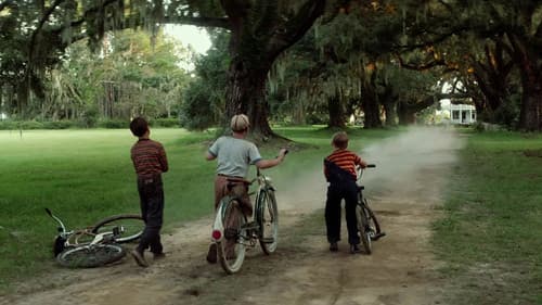 Backdrop do filme: Forrest Gump: O Contador de Histórias