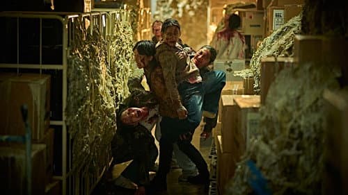 Backdrop do filme: Zona Zero