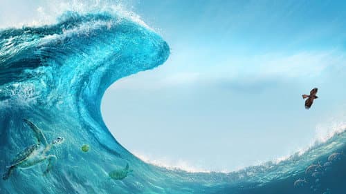 Backdrop do filme: Moana