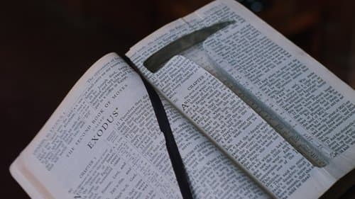 Backdrop do filme: Um Sonho de Liberdade