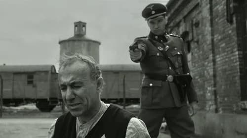 Backdrop do filme: A Lista de Schindler