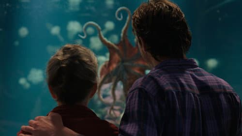 Backdrop do filme: Criaturas Extraordinariamente Brilhantes