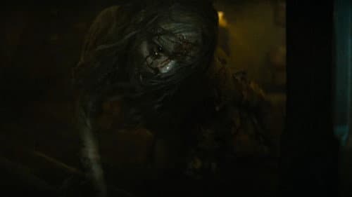 Backdrop do filme: Maldição da Múmia