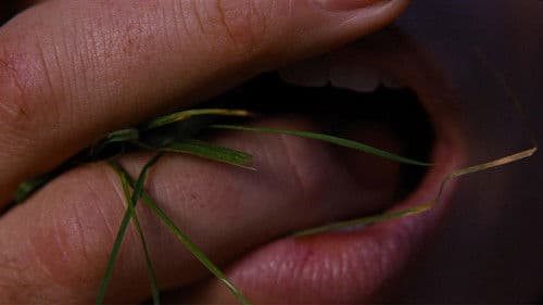 Backdrop do filme: “O Morro dos Ventos Uivantes”