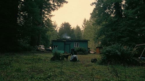 Backdrop do filme: Uma Batalha Após a Outra