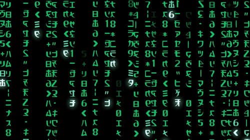 Backdrop do filme: Matrix
