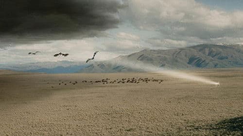 Backdrop do filme: O Senhor dos Anéis: O Retorno do Rei