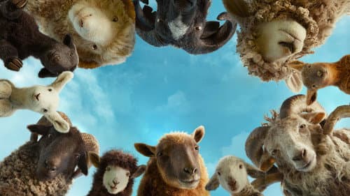 Backdrop do filme: As Ovelhas Detetives