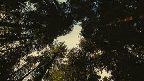 Backdrop do filme: Uma Batalha Após a Outra