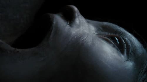 Backdrop do filme: Maldição da Múmia