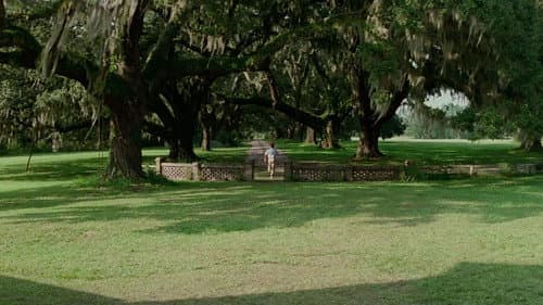 Backdrop do filme: Forrest Gump: O Contador de Histórias