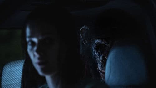 Backdrop do filme: O Primata