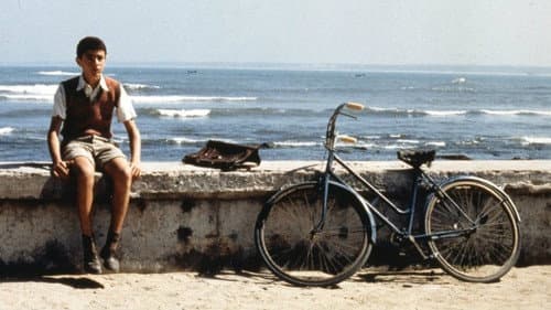 Backdrop do filme: Malèna