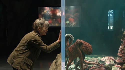 Backdrop do filme: Criaturas Extraordinariamente Brilhantes