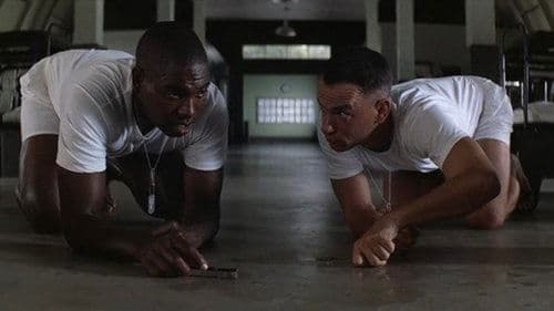 Backdrop do filme: Forrest Gump: O Contador de Histórias