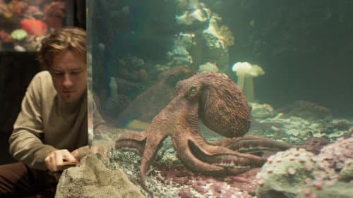 Backdrop do filme: Criaturas Extraordinariamente Brilhantes