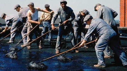 Backdrop do filme: Um Sonho de Liberdade