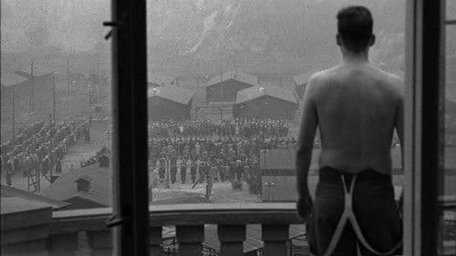 Backdrop do filme: A Lista de Schindler