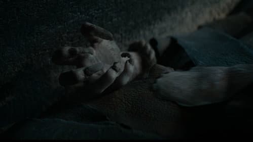 Backdrop do filme: Maldição da Múmia