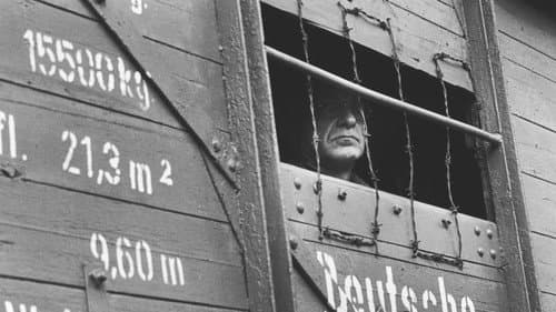 Backdrop do filme: A Lista de Schindler