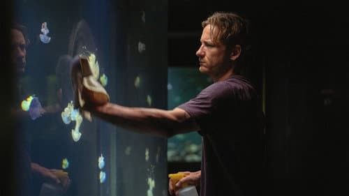 Backdrop do filme: Criaturas Extraordinariamente Brilhantes