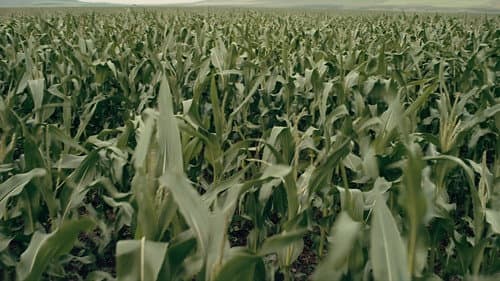 Backdrop do filme: Interestelar