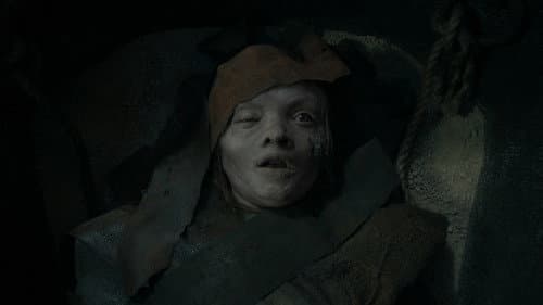 Backdrop do filme: Maldição da Múmia