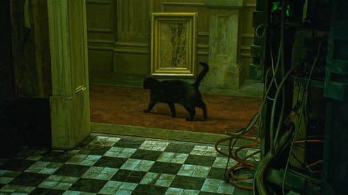 Backdrop do filme: Matrix