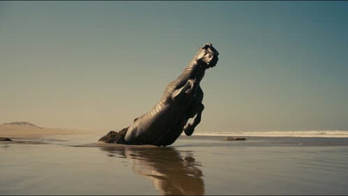 Backdrop do filme: A Odisseia