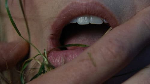 Backdrop do filme: “O Morro dos Ventos Uivantes”