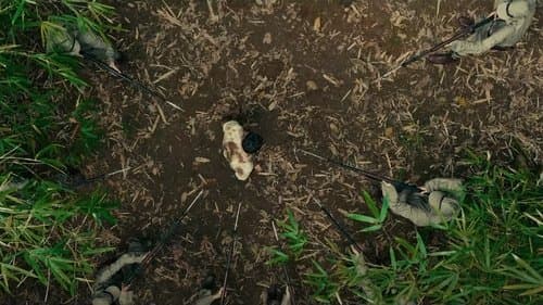 Backdrop do filme: Prisioneiro de Guerra