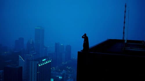 Backdrop do filme: Batman: O Cavaleiro das Trevas